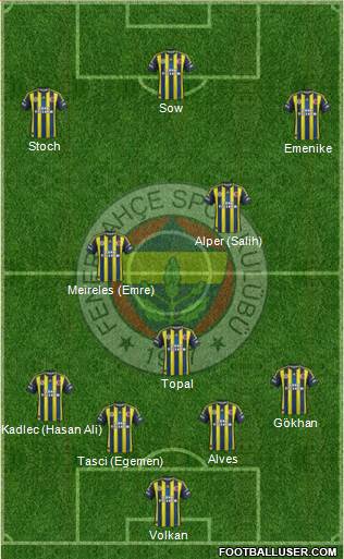 Fenerbahçe SK Formation 2013