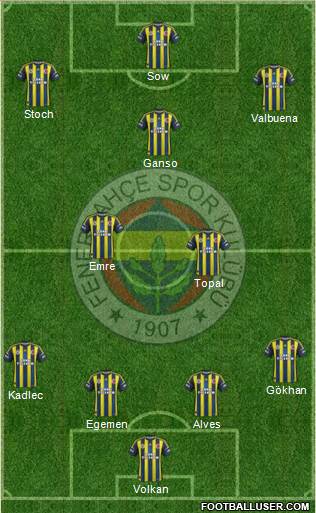 Fenerbahçe SK Formation 2013