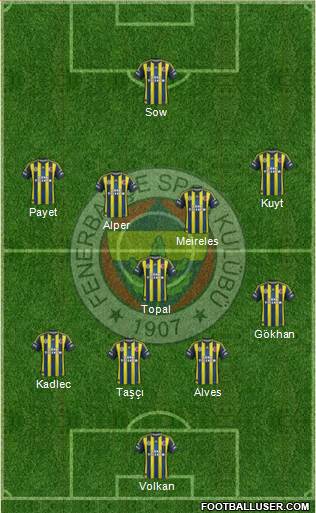 Fenerbahçe SK Formation 2013