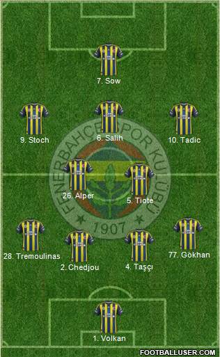 Fenerbahçe SK Formation 2013