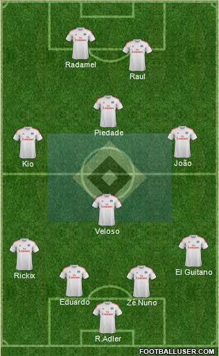Hamburger SV Formation 2013
