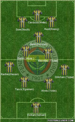 Fenerbahçe SK Formation 2013