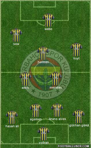 Fenerbahçe SK Formation 2013