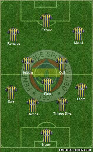 Fenerbahçe SK Formation 2013