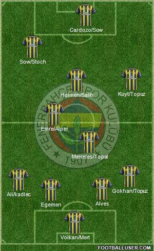 Fenerbahçe SK Formation 2013