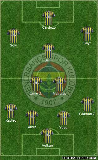 Fenerbahçe SK Formation 2013
