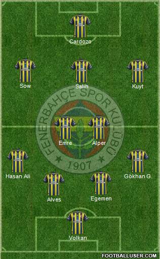 Fenerbahçe SK Formation 2013