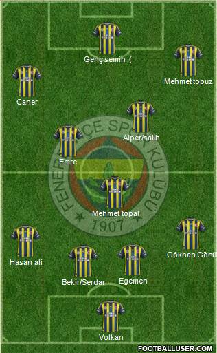Fenerbahçe SK Formation 2013