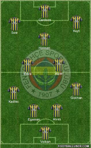 Fenerbahçe SK Formation 2013