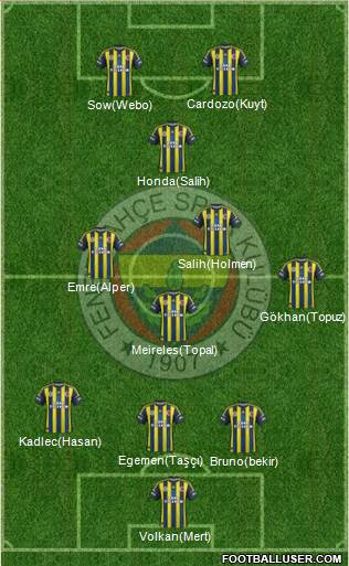 Fenerbahçe SK Formation 2013