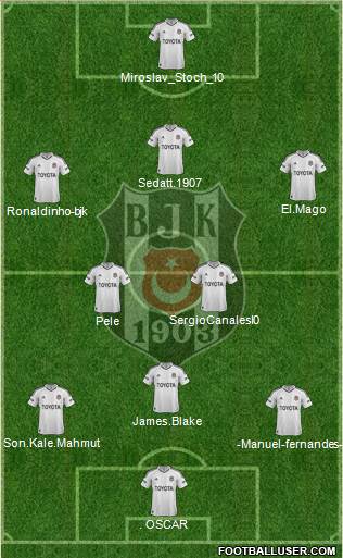 Besiktas JK Formation 2013