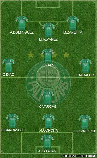 SE Palmeiras Formation 2013