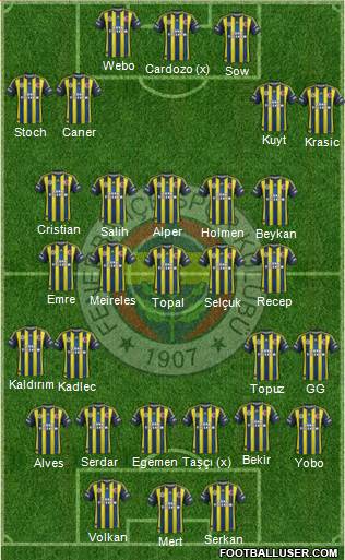 Fenerbahçe SK Formation 2013