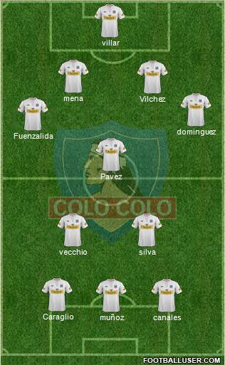 CSD Colo Colo Formation 2013