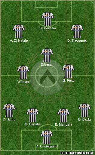 Udinese Formation 2013