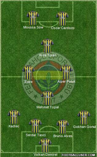 Fenerbahçe SK Formation 2013