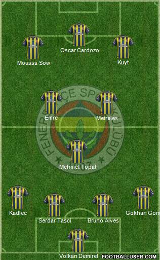 Fenerbahçe SK Formation 2013