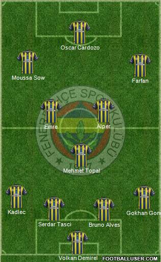 Fenerbahçe SK Formation 2013