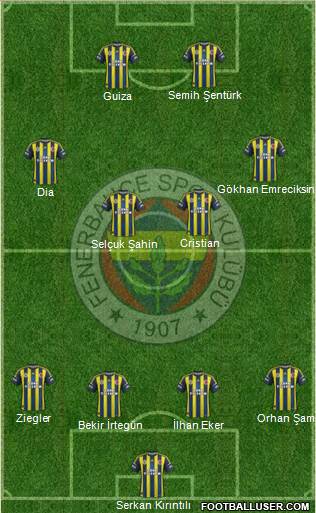 Fenerbahçe SK Formation 2013