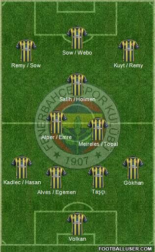 Fenerbahçe SK Formation 2013