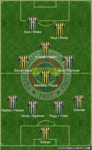 Fenerbahçe SK Formation 2013