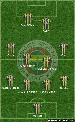 Fenerbahçe SK Formation 2013