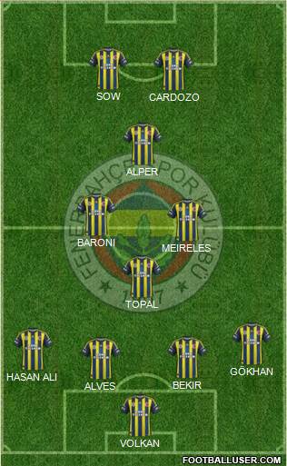Fenerbahçe SK Formation 2013