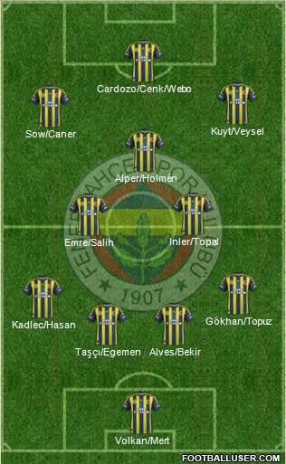 Fenerbahçe SK Formation 2013