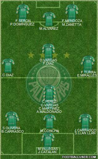 SE Palmeiras Formation 2013