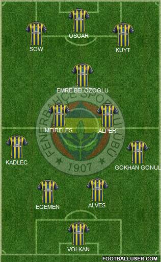 Fenerbahçe SK Formation 2013
