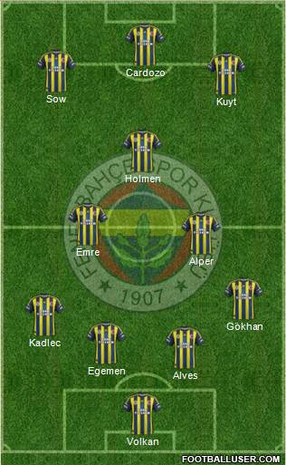 Fenerbahçe SK Formation 2013