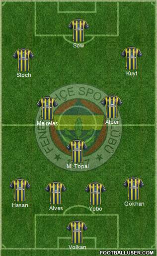 Fenerbahçe SK Formation 2013