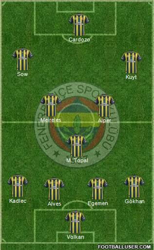 Fenerbahçe SK Formation 2013