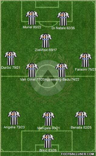 Udinese Formation 2013