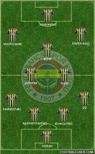 Fenerbahçe SK Formation 2013