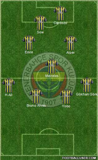 Fenerbahçe SK Formation 2013