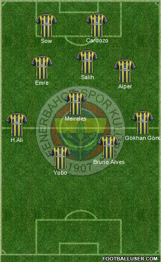 Fenerbahçe SK Formation 2013