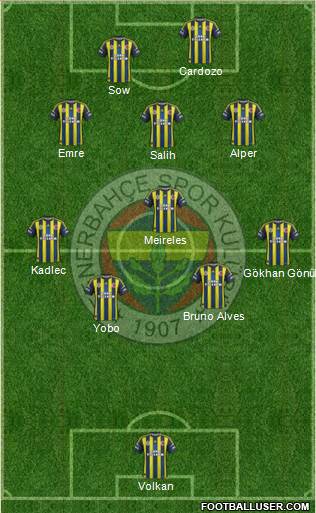 Fenerbahçe SK Formation 2013