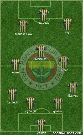 Fenerbahçe SK Formation 2013