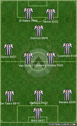 Udinese Formation 2013