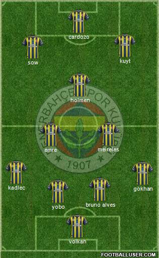 Fenerbahçe SK Formation 2013