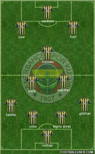 Fenerbahçe SK Formation 2013