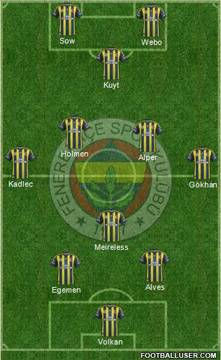 Fenerbahçe SK Formation 2013