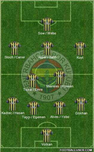 Fenerbahçe SK Formation 2013
