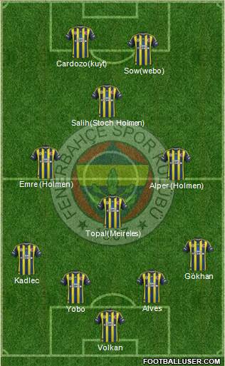 Fenerbahçe SK Formation 2013