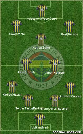 Fenerbahçe SK Formation 2013