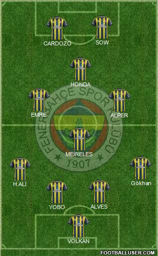 Fenerbahçe SK Formation 2013