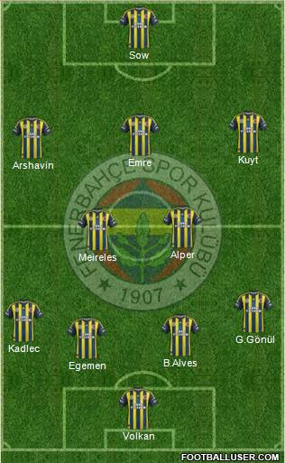 Fenerbahçe SK Formation 2013