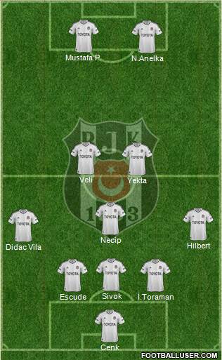 Besiktas JK Formation 2013