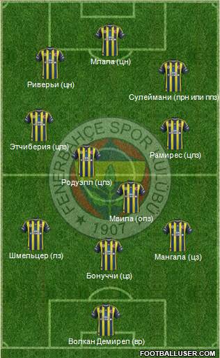 Fenerbahçe SK Formation 2013